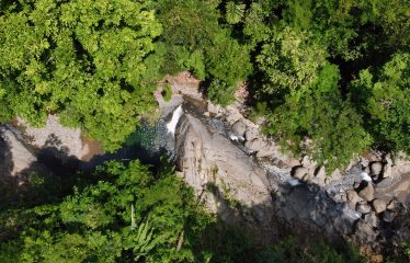 JUNGLE DREAMS FARM: WHERE NATURE MEETS SERENITY – 20 ACRES